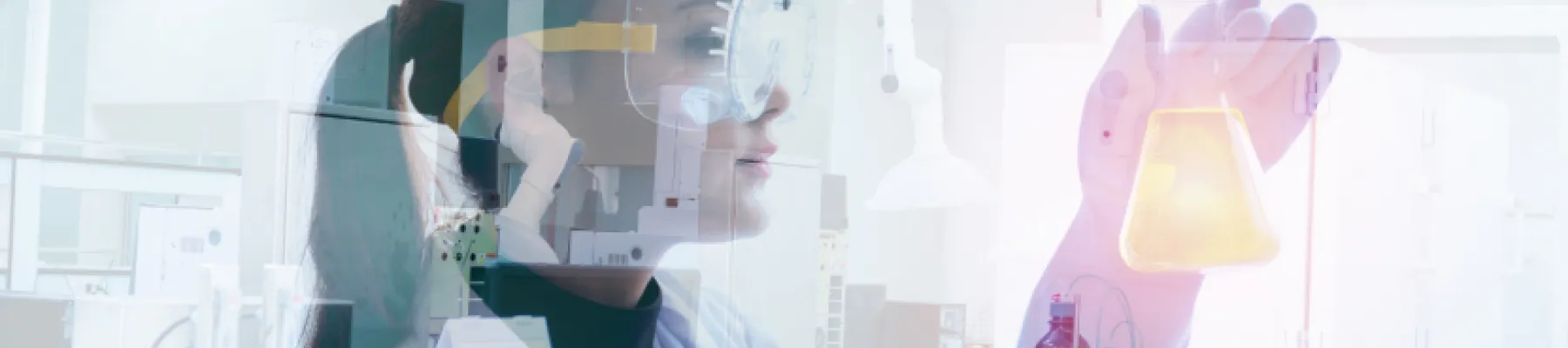 High Council for the Evaluation of Research and Higher Education (HCERES)